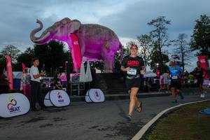 BIB: 
                            <button type="button" onclick="openModal(26529541)" class="btn btn-primary btn-sm float-right btn-popup" data-toggle="modal" data-target=".modal-high-quality">
                        <i class="fas fa-shopping-cart"></i> Add to Cart
                    </button>
                                            <button type="button" onclick="isThisMe(26529541, true)" class="btn btn-success btn-sm float-right btn-popup btn-isme hidden" data-toggle="tooltip" data-placement="bottom" title="นี่คือรูปของคุณใช่ไหม คลิกที่นี่เพื่อเอาเข้าอัลบั้ม">
                        <i class="fas fa-plus"></i> Add to album
                    </button>
                    <button type="button" onclick="isThisMe(26529541, false)" class="btn btn-warning btn-sm float-right btn-popup btn-isnotme hidden">
                        <i class="fas fa-ban"></i> Remove from album
                    </button>